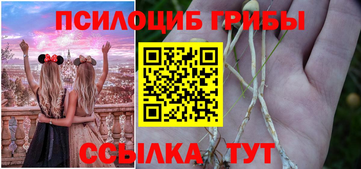 Галлюциногенные грибы Cubensis  Вход с VPN  Сунжа 